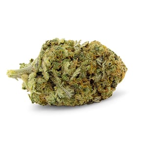 Mango Kush