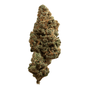 Tropicana Cookies