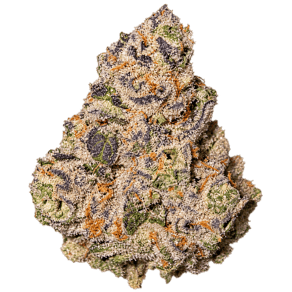 Cap Junky