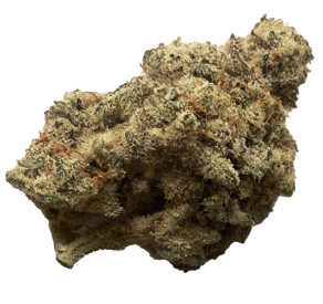 Blue Monkey
