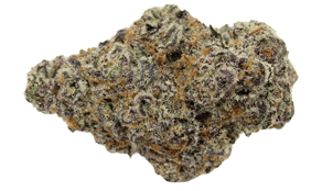 Glitter Bomb