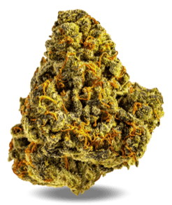 Amnesia Haze