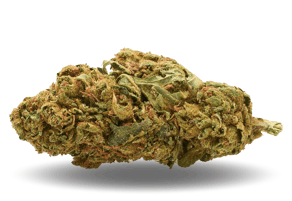 Sherbet Haze Gelato
