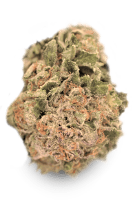 Galaxy Walker OG
