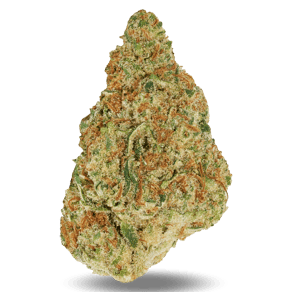 Northern Berry