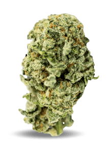 Blueberry