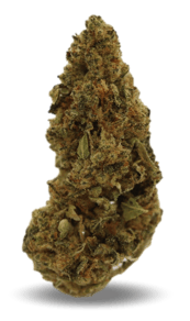 Space Cake