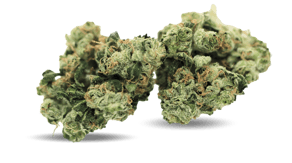 Sour Diesel