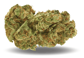 Starwalker Kush