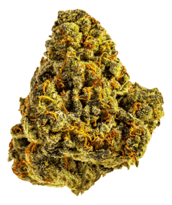 Amnesia Haze