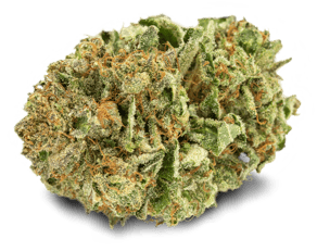 Pink Kush