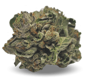 Purps