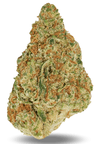 Northern Berry