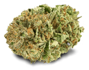 Pink Kush
