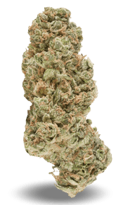 White Gelato