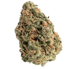 Amnesia OG