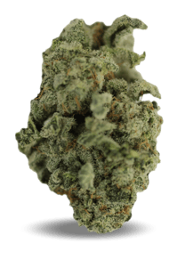 Blueberry