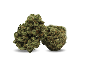 Warlock CBD