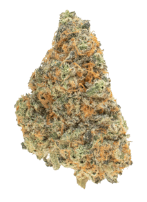 Jellyberry