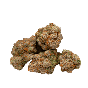 Gas Pack smalls