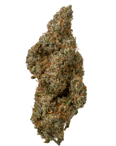 Frosted Fruit Cake
