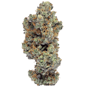 Garlic Breath 2.0