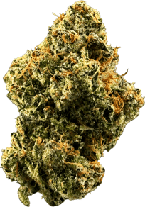 Lemon Cherry Gelato
