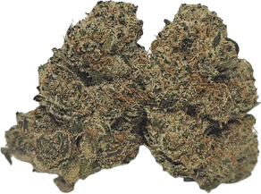 Northern Lime Pie