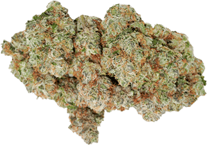 Ocean Grown Cookies