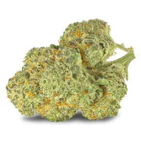 Chemango Kush