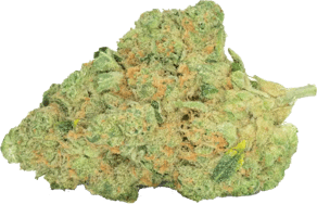 Cosmic Cream