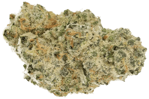 Polar Cookies