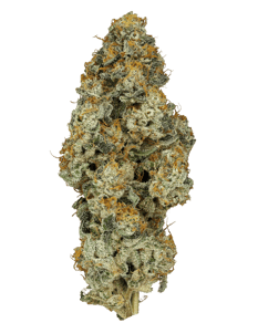 Platinum Oranges