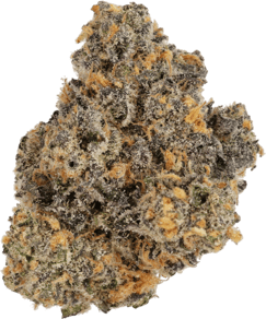 Rainbow Sherbert 11