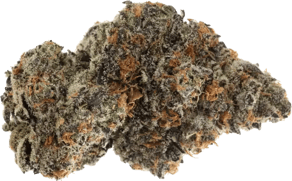 Frosted Cookies