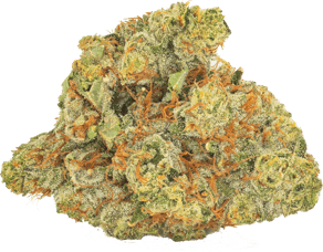 Pink OG Kush