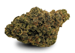 Sour Chocorilla