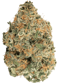 Sour Cherry Punch