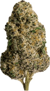 Sunset Sherbert