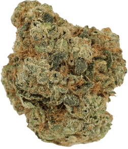 Grape Pie