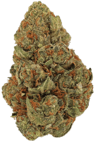 Papaya