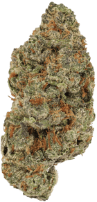 Orange Cream Pop