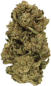 Starhaze OG
