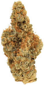Ring of Sour