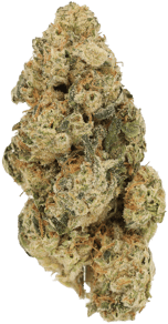 Durban Poison