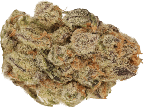 Black Cherry Punch