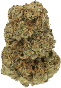 Hippie Kush