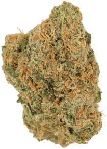 Gelato Dream
