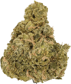 Sour Sundae