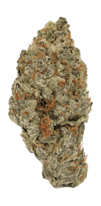 Orange Creampop